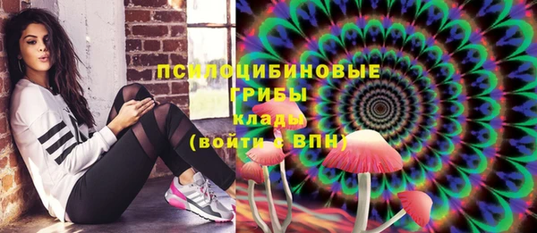дживик Видное