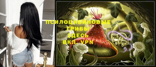 твердый Алексин