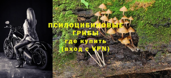 бутират Алзамай