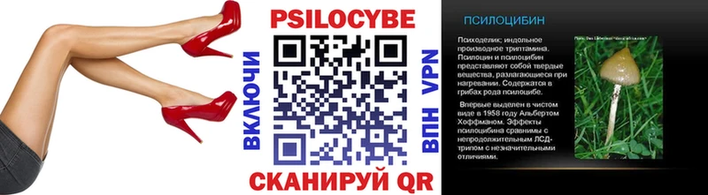 darknet телеграм  Кольчугино  Галлюциногенные грибы Cubensis 
